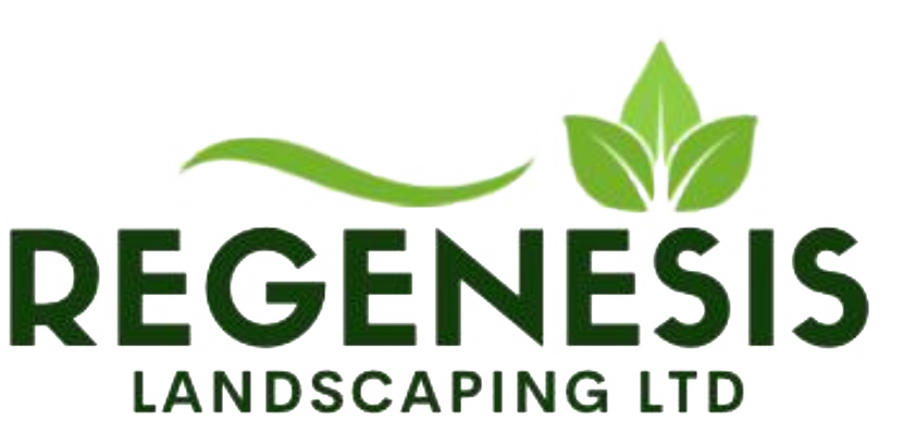 Landscaping Services in London